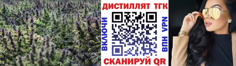 купить закладку Шацк ТГК THC oil