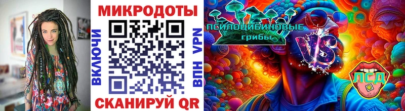 Псилоцибиновые грибы Psilocybe  Шацк 